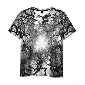 Мужская футболка 3D с принтом Кудрявые деревья в Курске, 100% полиэфир | прямой крой, круглый вырез горловины, длина до линии бедер | black   white | bright | forest | photo | sun | tree | trees | деревья | кудрявые | лес | солнце | фото | черно   белое | яркое