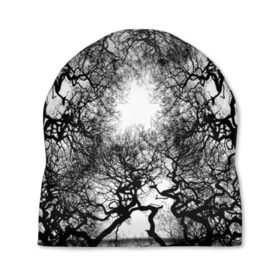 Шапка 3D с принтом Кудрявые деревья в Курске, 100% полиэстер | универсальный размер, печать по всей поверхности изделия | black   white | bright | forest | photo | sun | tree | trees | деревья | кудрявые | лес | солнце | фото | черно   белое | яркое