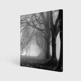 Холст квадратный с принтом Туман в лесу в Курске, 100% ПВХ |  | black   white | fog | forest | morning | photo | silhouette | trees | деревья | лес | силуэт | туман | утро | фото | черно   белое