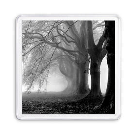 Магнит 55*55 с принтом Туман в лесу в Курске, Пластик | Размер: 65*65 мм; Размер печати: 55*55 мм | black   white | fog | forest | morning | photo | silhouette | trees | деревья | лес | силуэт | туман | утро | фото | черно   белое