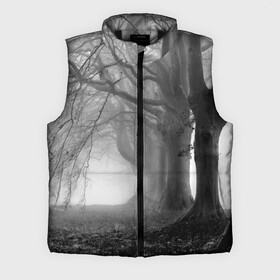 Мужской жилет утепленный 3D с принтом Туман в лесу в Курске,  |  | black   white | fog | forest | morning | photo | silhouette | trees | деревья | лес | силуэт | туман | утро | фото | черно   белое