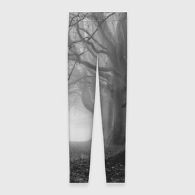 Леггинсы 3D с принтом Туман в лесу в Курске, 80% полиэстер, 20% эластан | Эластичный пояс, зауженные к низу, низкая посадка | black   white | fog | forest | morning | photo | silhouette | trees | деревья | лес | силуэт | туман | утро | фото | черно   белое