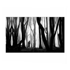 Бумага для упаковки 3D с принтом Утро в лесу в Курске, пластик и полированная сталь | круглая форма, металлическое крепление в виде кольца | black   white | fog | forest | man | morning | photo | silhouette | trees | деревья | лес | силуэт | туман | утро | фото | человек | черно   белое