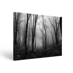 Холст прямоугольный с принтом Туман в лесу в Курске, 100% ПВХ |  | black   white | fog | forest | morning | photo | silhouette | trees | деревья | лес | силуэт | туман | утро | фото | черно   белое