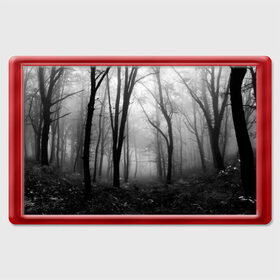 Магнит 45*70 с принтом Туман в лесу в Курске, Пластик | Размер: 78*52 мм; Размер печати: 70*45 | black   white | fog | forest | morning | photo | silhouette | trees | деревья | лес | силуэт | туман | утро | фото | черно   белое