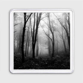 Магнит 55*55 с принтом Туман в лесу в Курске, Пластик | Размер: 65*65 мм; Размер печати: 55*55 мм | black   white | fog | forest | morning | photo | silhouette | trees | деревья | лес | силуэт | туман | утро | фото | черно   белое