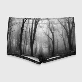 Мужские купальные плавки 3D с принтом Туман в лесу в Курске, Полиэстер 85%, Спандекс 15% |  | Тематика изображения на принте: black   white | fog | forest | morning | photo | silhouette | trees | деревья | лес | силуэт | туман | утро | фото | черно   белое