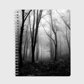 Тетрадь с принтом Туман в лесу в Курске, 100% бумага | 48 листов, плотность листов — 60 г/м2, плотность картонной обложки — 250 г/м2. Листы скреплены сбоку удобной пружинной спиралью. Уголки страниц и обложки скругленные. Цвет линий — светло-серый
 | Тематика изображения на принте: black   white | fog | forest | morning | photo | silhouette | trees | деревья | лес | силуэт | туман | утро | фото | черно   белое