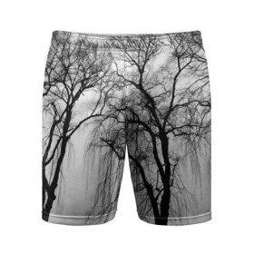 Мужские шорты 3D спортивные с принтом Деревья у реки в Курске,  |  | beach | black   white | crown | photo | river | trees | берег | деревья | крона | река | фото | черно   белое