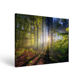 Холст прямоугольный с принтом Утро в лесу в Курске, 100% ПВХ |  | Тематика изображения на принте: bright | fog | forest | morning | sun | tree | trees | дерево | деревья | лес | солнце | туман | утро | яркое