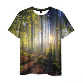 Мужская футболка 3D с принтом Утро в лесу в Курске, 100% полиэфир | прямой крой, круглый вырез горловины, длина до линии бедер | bright | fog | forest | morning | sun | tree | trees | дерево | деревья | лес | солнце | туман | утро | яркое