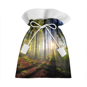 Подарочный 3D мешок с принтом Утро в лесу в Курске, 100% полиэстер | Размер: 29*39 см | Тематика изображения на принте: bright | fog | forest | morning | sun | tree | trees | дерево | деревья | лес | солнце | туман | утро | яркое