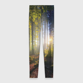 Леггинсы 3D с принтом Утро в лесу в Курске, 80% полиэстер, 20% эластан | Эластичный пояс, зауженные к низу, низкая посадка | bright | fog | forest | morning | sun | tree | trees | дерево | деревья | лес | солнце | туман | утро | яркое