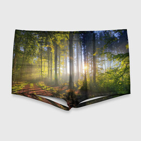 Мужские купальные плавки 3D с принтом Утро в лесу в Курске, Полиэстер 85%, Спандекс 15% |  | bright | fog | forest | morning | sun | tree | trees | дерево | деревья | лес | солнце | туман | утро | яркое