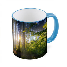 Кружка 3D с принтом Утро в лесу в Курске, керамика | ёмкость 330 мл | bright | fog | forest | morning | sun | tree | trees | дерево | деревья | лес | солнце | туман | утро | яркое