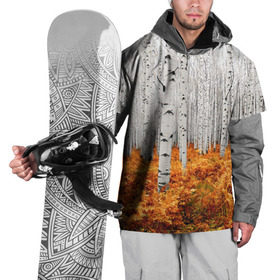Накидка на куртку 3D с принтом Березовая роща в Курске, 100% полиэстер |  | Тематика изображения на принте: birch | birch grove | ferns | forest | trees | березовая | березы | деревья | лес | папоротник | роща