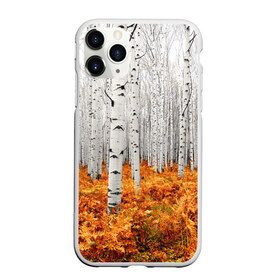 Чехол для iPhone 11 Pro матовый с принтом Березовая роща в Курске, Силикон |  | birch | birch grove | ferns | forest | trees | березовая | березы | деревья | лес | папоротник | роща