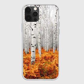 Чехол для iPhone 12 Pro с принтом Березовая роща в Курске, силикон | область печати: задняя сторона чехла, без боковых панелей | birch | birch grove | ferns | forest | trees | березовая | березы | деревья | лес | папоротник | роща