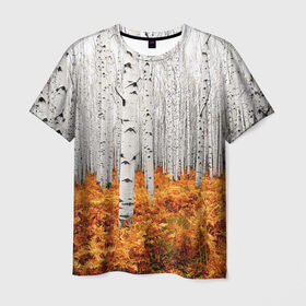 Мужская футболка 3D с принтом Березовая роща в Курске, 100% полиэфир | прямой крой, круглый вырез горловины, длина до линии бедер | birch | birch grove | ferns | forest | trees | березовая | березы | деревья | лес | папоротник | роща