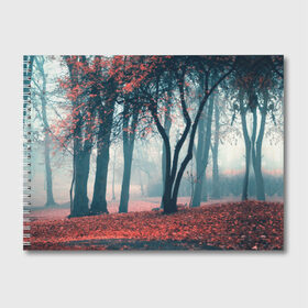 Альбом для рисования с принтом Осень в Курске, 100% бумага
 | матовая бумага, плотность 200 мг. | autumn | bright | colors | forest | paint | trees | деревья | краски | лес | осень | цвета | яркие