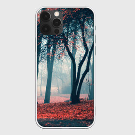 Чехол для iPhone 12 Pro Max с принтом Осень в Курске, Силикон |  | autumn | bright | colors | forest | paint | trees | деревья | краски | лес | осень | цвета | яркие