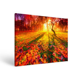 Холст прямоугольный с принтом Осень в Курске, 100% ПВХ |  | autumn | bright | colors | forest | trees | деревья | краски | лес | лучи | осень | солнце | цвета | яркие