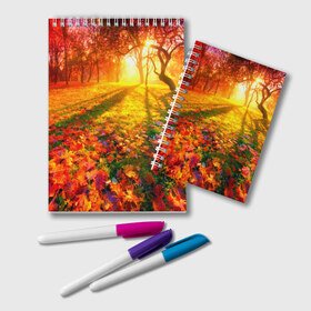 Блокнот с принтом Осень в Курске, 100% бумага | 48 листов, плотность листов — 60 г/м2, плотность картонной обложки — 250 г/м2. Листы скреплены удобной пружинной спиралью. Цвет линий — светло-серый
 | Тематика изображения на принте: autumn | bright | colors | forest | trees | деревья | краски | лес | лучи | осень | солнце | цвета | яркие