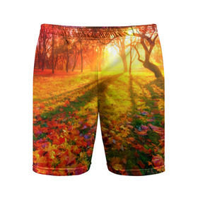 Мужские шорты 3D спортивные с принтом Осень в Курске,  |  | autumn | bright | colors | forest | trees | деревья | краски | лес | лучи | осень | солнце | цвета | яркие
