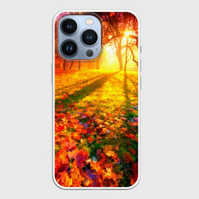 Чехол для iPhone 13 Pro с принтом Осень в Курске,  |  | autumn | bright | colors | forest | trees | деревья | краски | лес | лучи | осень | солнце | цвета | яркие