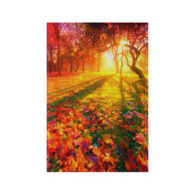 Обложка для паспорта матовая кожа с принтом Осень в Курске, натуральная матовая кожа | размер 19,3 х 13,7 см; прозрачные пластиковые крепления | autumn | bright | colors | forest | trees | деревья | краски | лес | лучи | осень | солнце | цвета | яркие