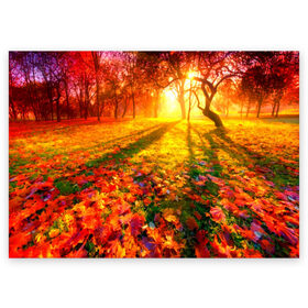 Поздравительная открытка с принтом Осень в Курске, 100% бумага | плотность бумаги 280 г/м2, матовая, на обратной стороне линовка и место для марки
 | autumn | bright | colors | forest | trees | деревья | краски | лес | лучи | осень | солнце | цвета | яркие