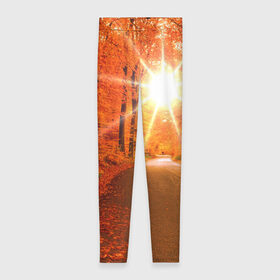 Леггинсы 3D с принтом Осеннее солнце в Курске, 80% полиэстер, 20% эластан | Эластичный пояс, зауженные к низу, низкая посадка | autumn | bright | colors | forest | trees | деревья | дорога | краски | лес | лучи | осень | солнце | цвета | яркие