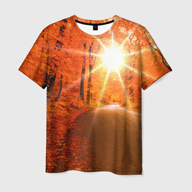 Мужская футболка 3D с принтом Осеннее солнце в Курске, 100% полиэфир | прямой крой, круглый вырез горловины, длина до линии бедер | autumn | bright | colors | forest | trees | деревья | дорога | краски | лес | лучи | осень | солнце | цвета | яркие