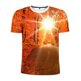 Мужская футболка 3D спортивная с принтом Осеннее солнце в Курске, 100% полиэстер с улучшенными характеристиками | приталенный силуэт, круглая горловина, широкие плечи, сужается к линии бедра | autumn | bright | colors | forest | trees | деревья | дорога | краски | лес | лучи | осень | солнце | цвета | яркие