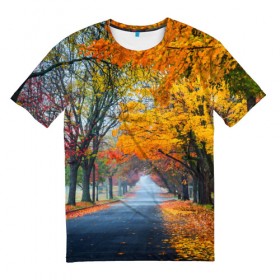 Мужская футболка 3D с принтом Осень в Курске, 100% полиэфир | прямой крой, круглый вырез горловины, длина до линии бедер | 