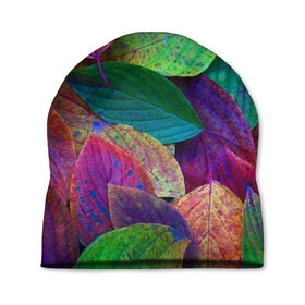 Шапка 3D с принтом Осень в Курске, 100% полиэстер | универсальный размер, печать по всей поверхности изделия | autumn | bright | color | forest | leaves | paint | trees | деревья | краски | лес | листья | осень | цвета | яркие