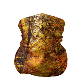 Бандана-труба 3D с принтом Осень в Курске, 100% полиэстер, ткань с особыми свойствами — Activecool | плотность 150‒180 г/м2; хорошо тянется, но сохраняет форму | autumn | bright | colors | forest | paint | trees | деревья | краски | лес | осень | цвета | яркие