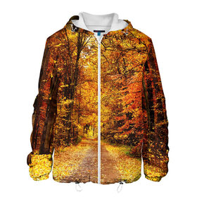 Мужская куртка 3D с принтом Осень в Курске, ткань верха — 100% полиэстер, подклад — флис | прямой крой, подол и капюшон оформлены резинкой с фиксаторами, два кармана без застежек по бокам, один большой потайной карман на груди. Карман на груди застегивается на липучку | autumn | bright | colors | forest | paint | trees | деревья | краски | лес | осень | цвета | яркие