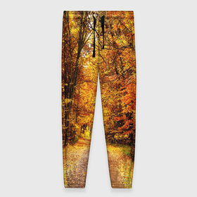 Женские брюки 3D с принтом Осень в Курске, полиэстер 100% | прямой крой, два кармана без застежек по бокам, с мягкой трикотажной резинкой на поясе и по низу штанин. В поясе для дополнительного комфорта — широкие завязки | autumn | bright | colors | forest | paint | trees | деревья | краски | лес | осень | цвета | яркие