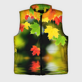 Мужской жилет утепленный 3D с принтом Осень в Курске,  |  | autumn | bright | color | forest | leaves | maple | paint | reflection | river | trees | деревья | клён | краски | лес | листья | осень | отражение | река | цвета | яркие