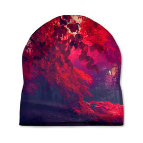 Шапка 3D с принтом Осень в Курске, 100% полиэстер | универсальный размер, печать по всей поверхности изделия | autumn | bright | colors | forest | trees | деревья | краски | лес | лучи | осень | солнце | цвета | яркие