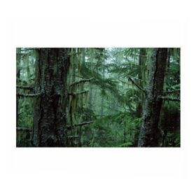 Бумага для упаковки 3D с принтом Дремучий лес в Курске, пластик и полированная сталь | круглая форма, металлическое крепление в виде кольца | camouflage | dense | fog | forest | spruce | tree | дремучий | ёлка | ельник | камуфляж | лес | маскировка | туман