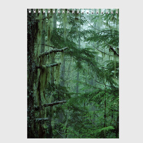 Скетчбук с принтом Дремучий лес в Курске, 100% бумага
 | 48 листов, плотность листов — 100 г/м2, плотность картонной обложки — 250 г/м2. Листы скреплены сверху удобной пружинной спиралью | camouflage | dense | fog | forest | spruce | tree | дремучий | ёлка | ельник | камуфляж | лес | маскировка | туман