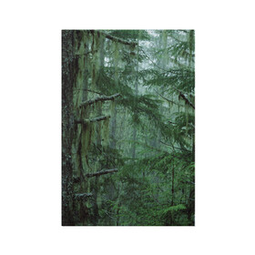 Обложка для паспорта матовая кожа с принтом Дремучий лес в Курске, натуральная матовая кожа | размер 19,3 х 13,7 см; прозрачные пластиковые крепления | Тематика изображения на принте: camouflage | dense | fog | forest | spruce | tree | дремучий | ёлка | ельник | камуфляж | лес | маскировка | туман