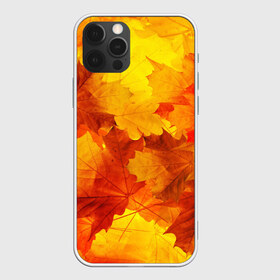 Чехол для iPhone 12 Pro Max с принтом Осень в Курске, Силикон |  | autumn | bright | color | forest | leaves | maple | paint | trees | деревья | клен | краски | лес | листья | осень | цвета | яркие