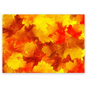 Поздравительная открытка с принтом Осень в Курске, 100% бумага | плотность бумаги 280 г/м2, матовая, на обратной стороне линовка и место для марки
 | Тематика изображения на принте: autumn | bright | color | forest | leaves | maple | paint | trees | деревья | клен | краски | лес | листья | осень | цвета | яркие