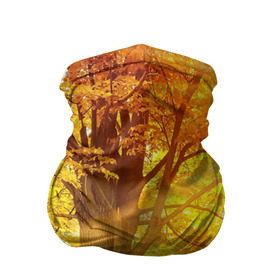 Бандана-труба 3D с принтом Осень в Курске, 100% полиэстер, ткань с особыми свойствами — Activecool | плотность 150‒180 г/м2; хорошо тянется, но сохраняет форму | autumn | bright | colors | forest | paint | trees | деревья | краски | лес | осень | цвета | яркие