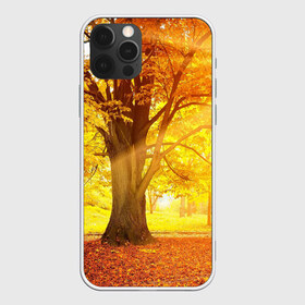 Чехол для iPhone 12 Pro Max с принтом Осень в Курске, Силикон |  | Тематика изображения на принте: autumn | bright | colors | forest | paint | trees | деревья | краски | лес | осень | цвета | яркие