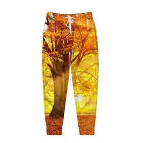 Мужские брюки 3D с принтом Осень в Курске, 100% полиэстер | манжеты по низу, эластичный пояс регулируется шнурком, по бокам два кармана без застежек, внутренняя часть кармана из мелкой сетки | Тематика изображения на принте: autumn | bright | colors | forest | paint | trees | деревья | краски | лес | осень | цвета | яркие