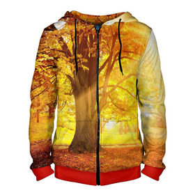 Мужская толстовка 3D на молнии с принтом Осень в Курске, 100% полиэстер | длина до линии бедра, манжеты и пояс оформлены мягкой тканевой резинкой, двухслойный капюшон со шнурком для регулировки, спереди молния, по бокам два кармана | Тематика изображения на принте: autumn | bright | colors | forest | paint | trees | деревья | краски | лес | осень | цвета | яркие